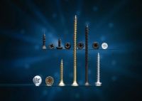 PIJAS PUNTA DE BROCA